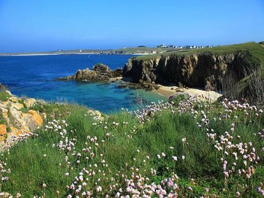 156 ILE DE HOEDIC_000070.jpg